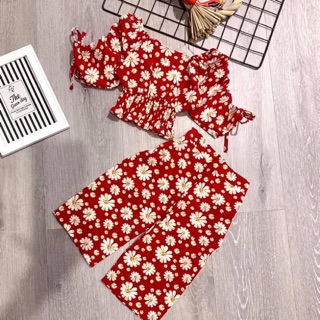 Sét thiết kế hoa cúc cho bé gái hàng nghiêm chuẩn