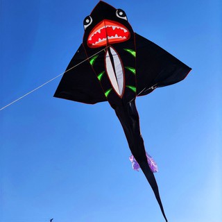 Diều dành cho người lớn, dễ bay, bay và mới Bắt đầu rất đơn giản có thể sử dụng với cá mập cuộn