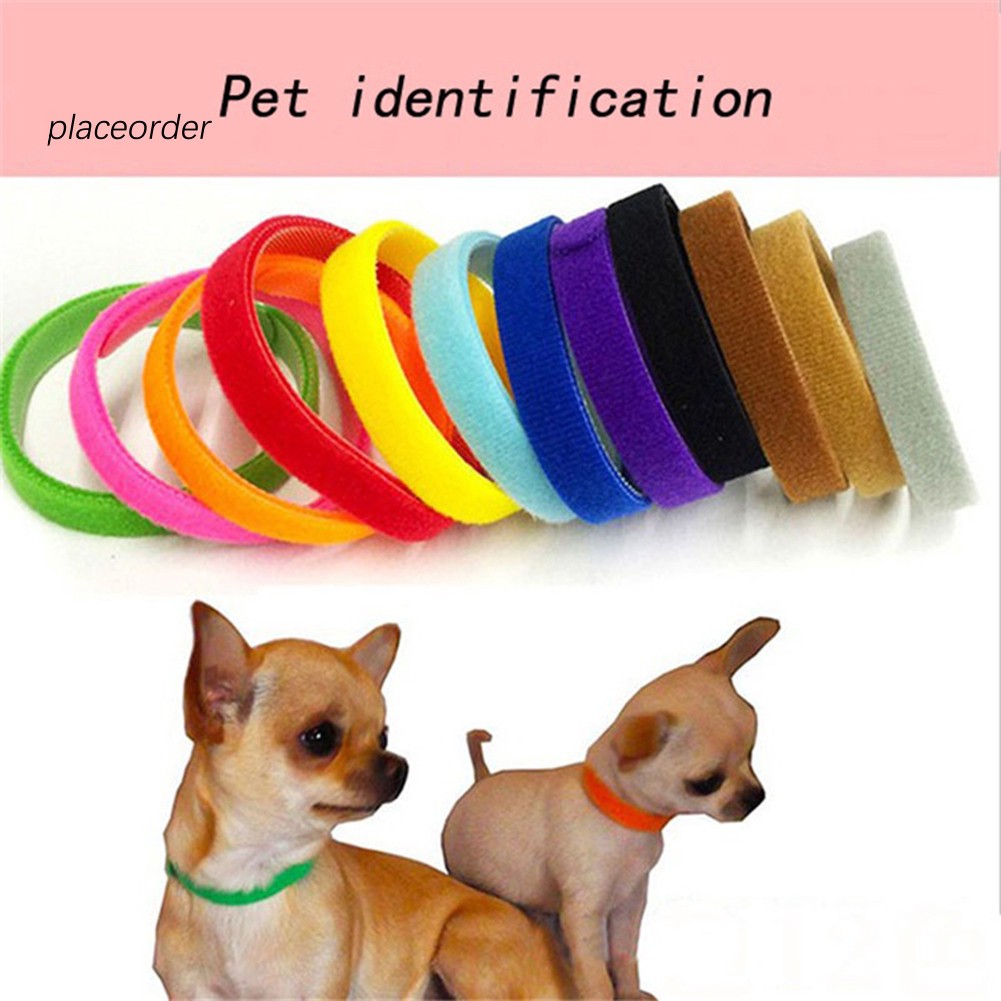 Set 12 vòng đeo cổ phân biệt chó mèo con sơ sinh nhiều màu sắc an toàn khi sử dụng