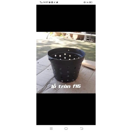10 Chậu Nhựa Đen Nhiều Lỗ 12-14-16-18  Trồng Hoa Lan, Cây Cảnh