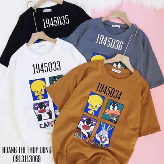 Áo phông hàng qccc