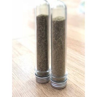 CỎ BẠC HÀ THÀNH PHẨM DÀNH CHO MÈO