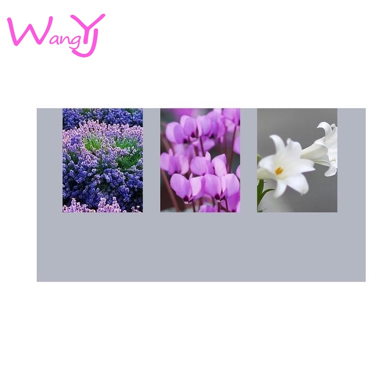 Son Dưỡng Thể Hương Thơm Tự Nhiên Lâu Trôi Thiết Kế Nhỏ Gọn