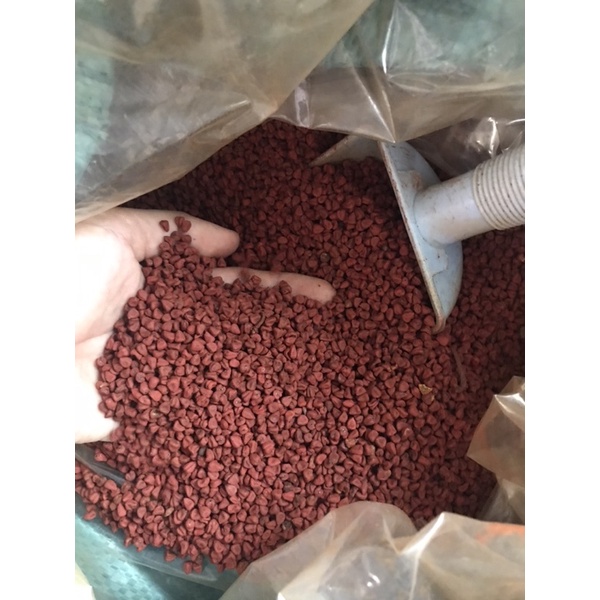 Hạt điều màu_ 1kg