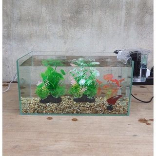 Bể cá, hồ cá 33 cm với 6 món (bể, sỏi nền, máy lọc, cây nhựa mini, 2 cây nhựa cỡ vừa)
