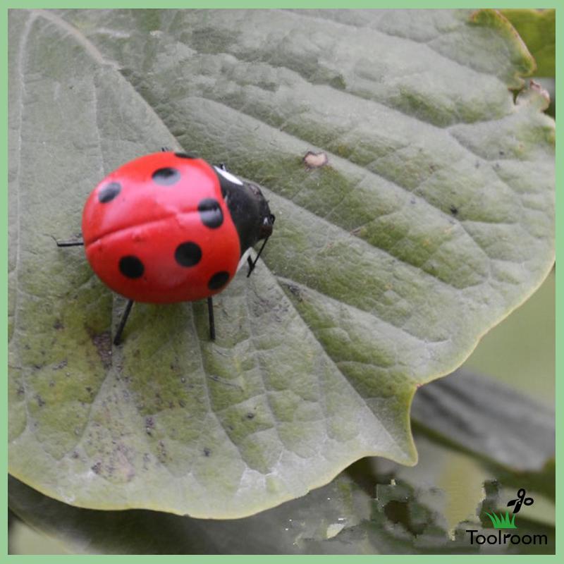 Đồ trang trí Côn Trùng Sống Động Dùng Trang Trí Sân Vườn / Văn Phòng