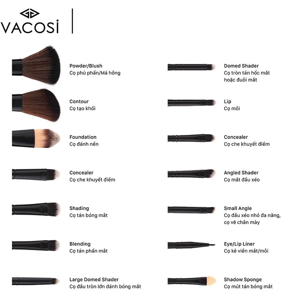 Bộ cọ Vacosi (14c) (MP3539)