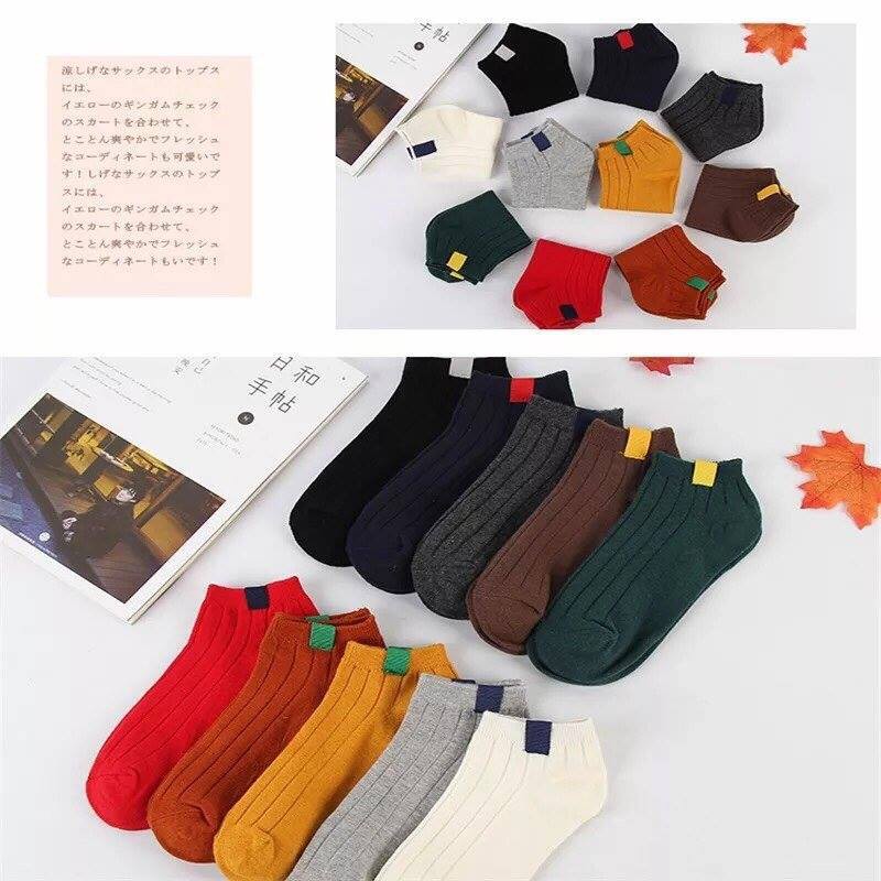 Combo 5 đôi tất nữ len tăm Hàn Quốc