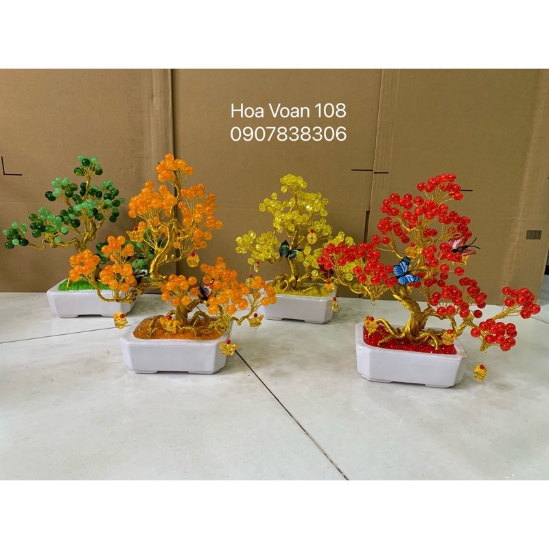 Cây kiểng bằng hột đá cao 30cm