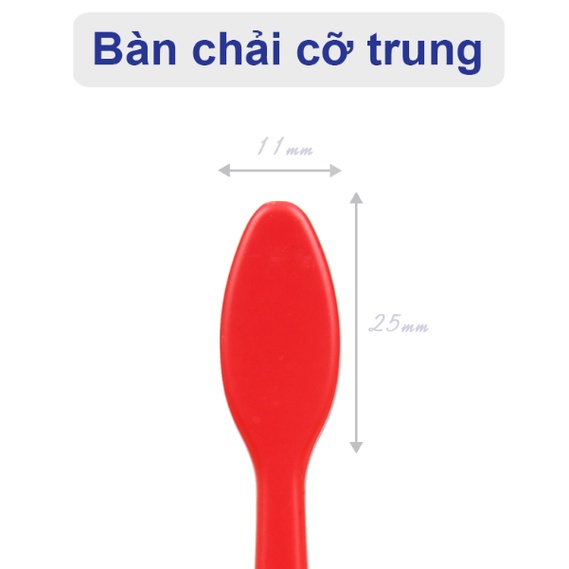 Bàn Chải Cỡ Trung ECO Siêu Mảnh 2 Tầng Cho Trẻ (Trên 8 Tuổi) Wedent Junior ToothBrush Gomimall (Màu Ngẫu Nhiên)