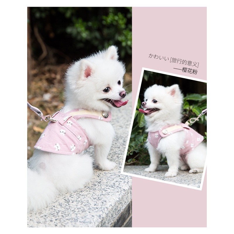 Yếm Hàn Quốc cao cấp kèm dây dắt cho chó mèo 🤩