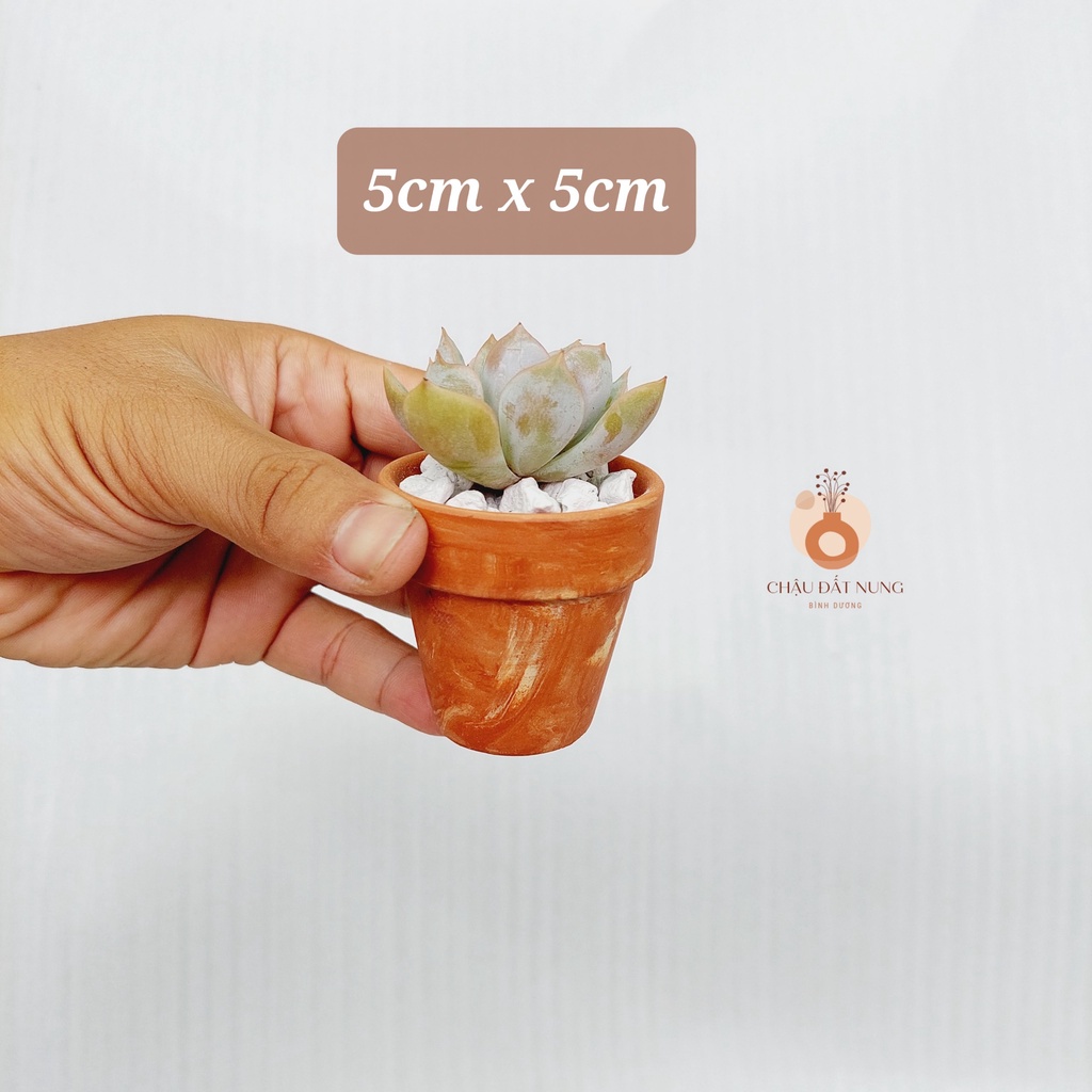 Chậu đất nung, Chậu sen đá - Ly gờ 55, miệng chậu 5cm, chiều cao 5cm