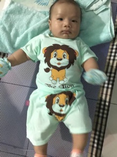 Set 5 bộ quần đùi cho bé
