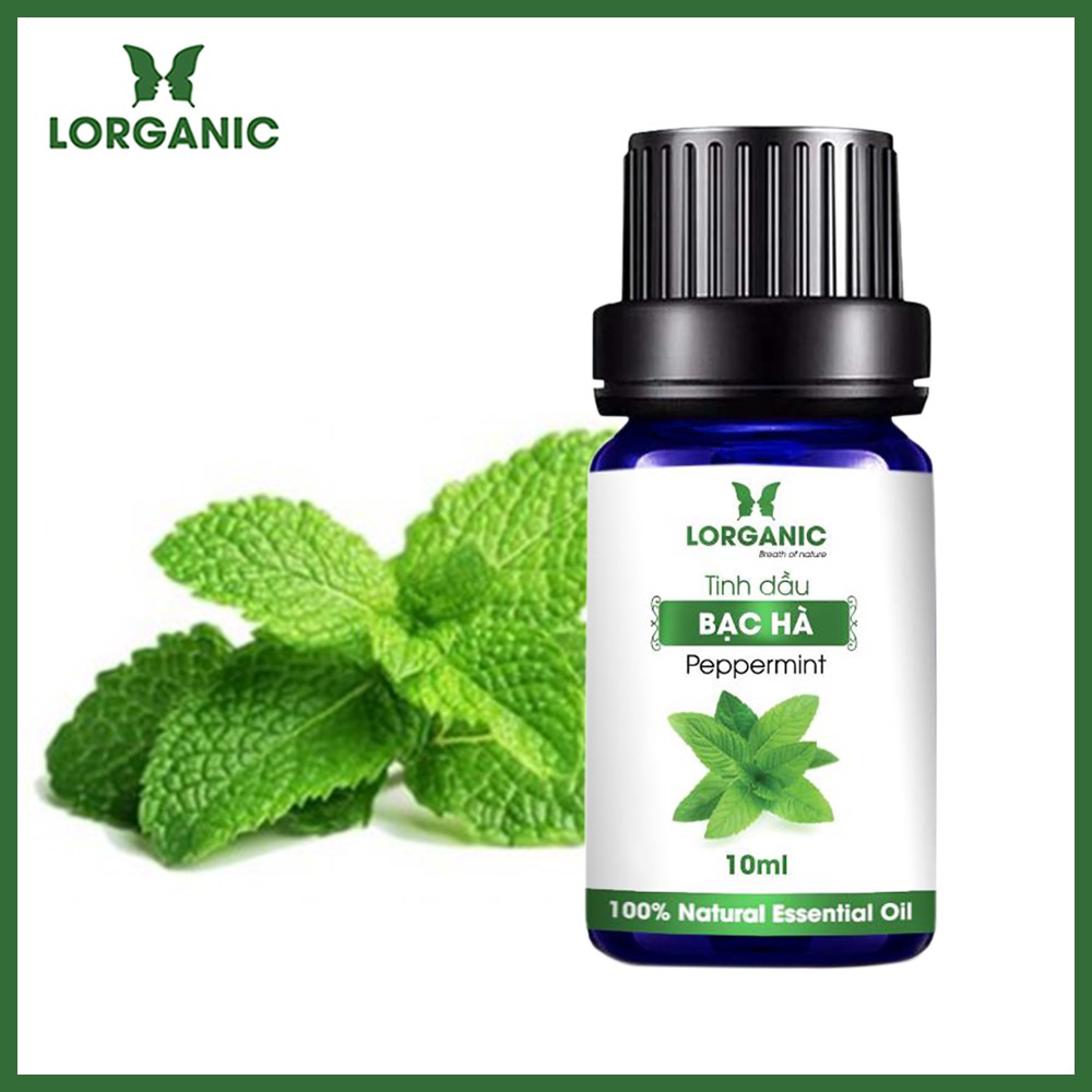 [FREE SHIP 50K] Tinh dầu bạc hà Lorganic Peppermint 100% Natural Essential Oil 10ml