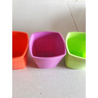 Chậu vuông sọc 10cm