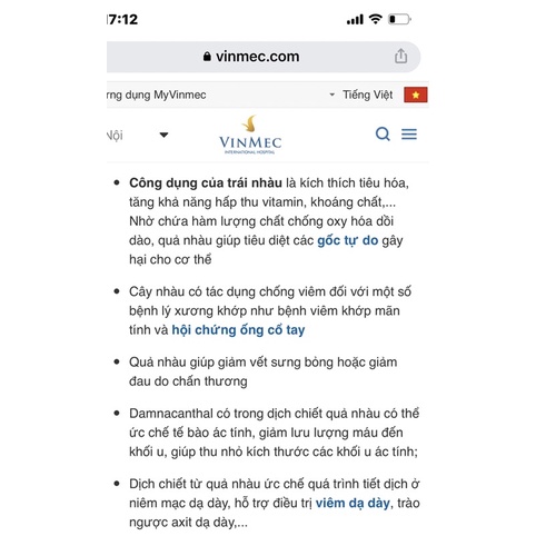 Cây nhàu giống