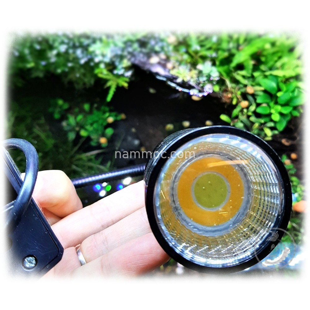 Led Rọi Kẹp Thành Bể nhiều màu tuỳ chọn - Led Rọi Thuỷ Sinh, Bán Cạn &amp; Cá cảnh