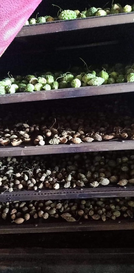KHỔ QUA RỪNG/ MƯỚP ĐẮNG RỪNG nguyên trái 1KG ( HÀNG LOẠI 1)