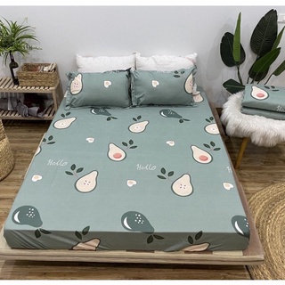 Bộ ga giường 💖m6/m8💖 drap giường poly, ga trải giường + 2 vỏ gối nằm đơn giản gohomeBedding