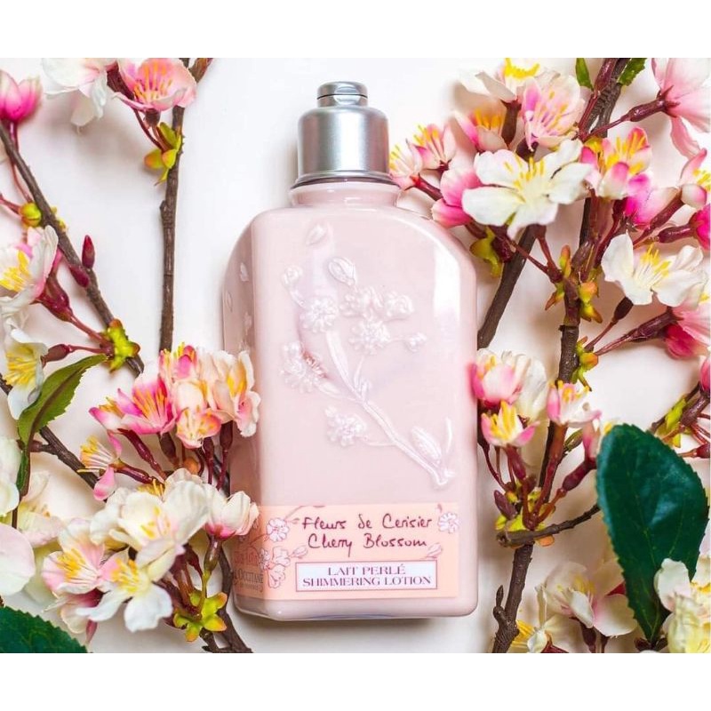 Sữa dưỡng thể hoa anh đào L'occitane Cherry Blossom Body Lotion