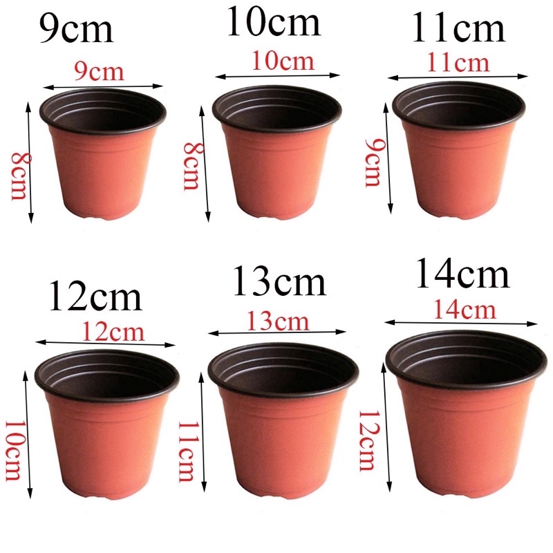 Set 10 chậu nhựa trồng cây