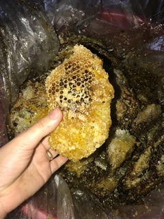 Mật ong chuẩn rừng