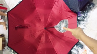 Ô ngược đi mưa
