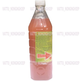 DỊCH CHUỐI Phân Bón Cho Phong Lan ( Chai 1lit )