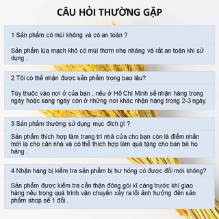 [Bó 20 cành Cỏ lúa mạch khô] trang trí decor