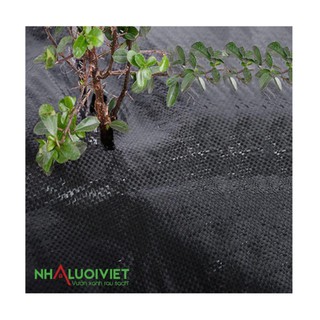 Bạt diệt cỏ màu đen - khổ rộng 4m hàng xuất khẩu
