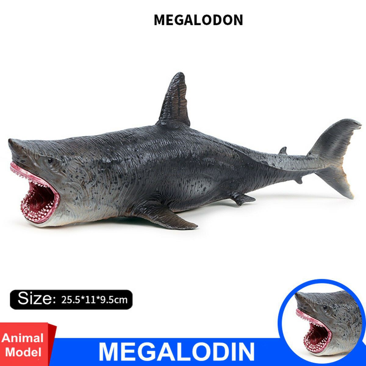 Mô Hình Cá Mập Megalodon Trang Trí