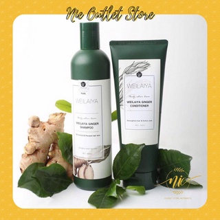 Cặp dầu gội xả gừng trắng kích mọc tóc Weilaiya Ginger (kèm set gội xả mini 14g)