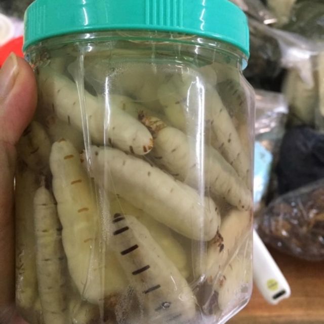 Mối Chúa (Size Đại 10 Con)