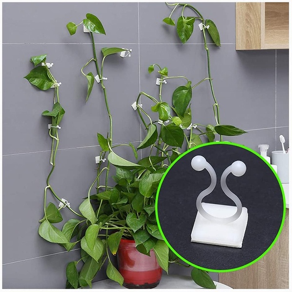 Bộ 10 kẹp giữ dây leo dán tường tiện lợi