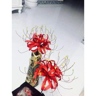 CÓ SẴN NHIỀU MẪU Hoa bỉ ngạn bằng lụa cao cấp