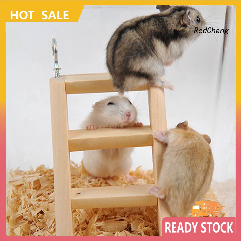 Đồ Chơi Thang Leo Trèo Bằng Gỗ Vui Nhộn Cho Chuột Hamster