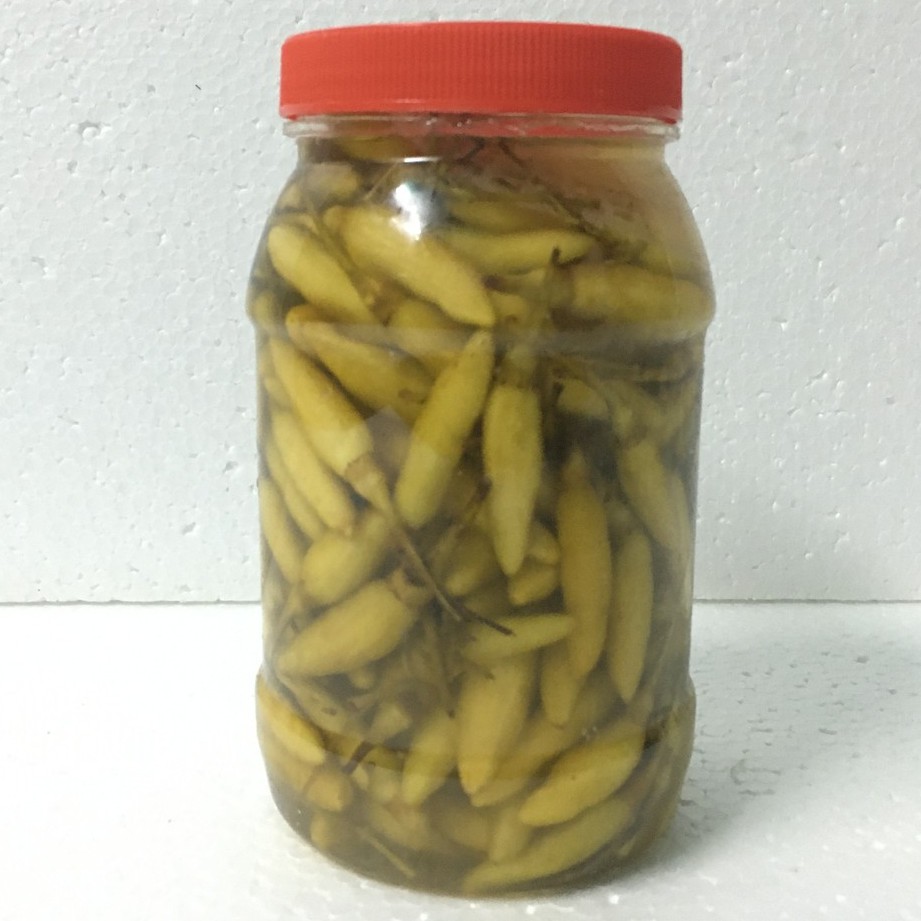 Ớt trái tươi ướp muối (ớt dầm, ớt ướp) thơm ngon 500gr – Đặc sản Huế