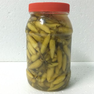 Ớt trái tươi ướp muối (ớt dầm, ớt ướp) thơm ngon 500gr – Đặc sản Huế