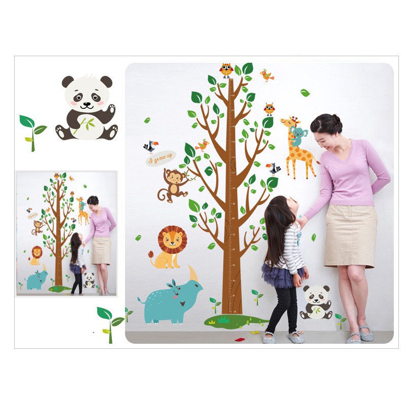 Decal dán tường thước đo và 4 thú