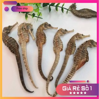 Cá ngựa khô 2 con