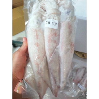 Mực ống size vừa 10-12 con/kg