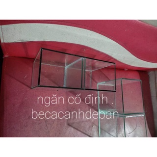 bể cá betta 2 ngăn, bể cá mini để bàn 25.10.C15