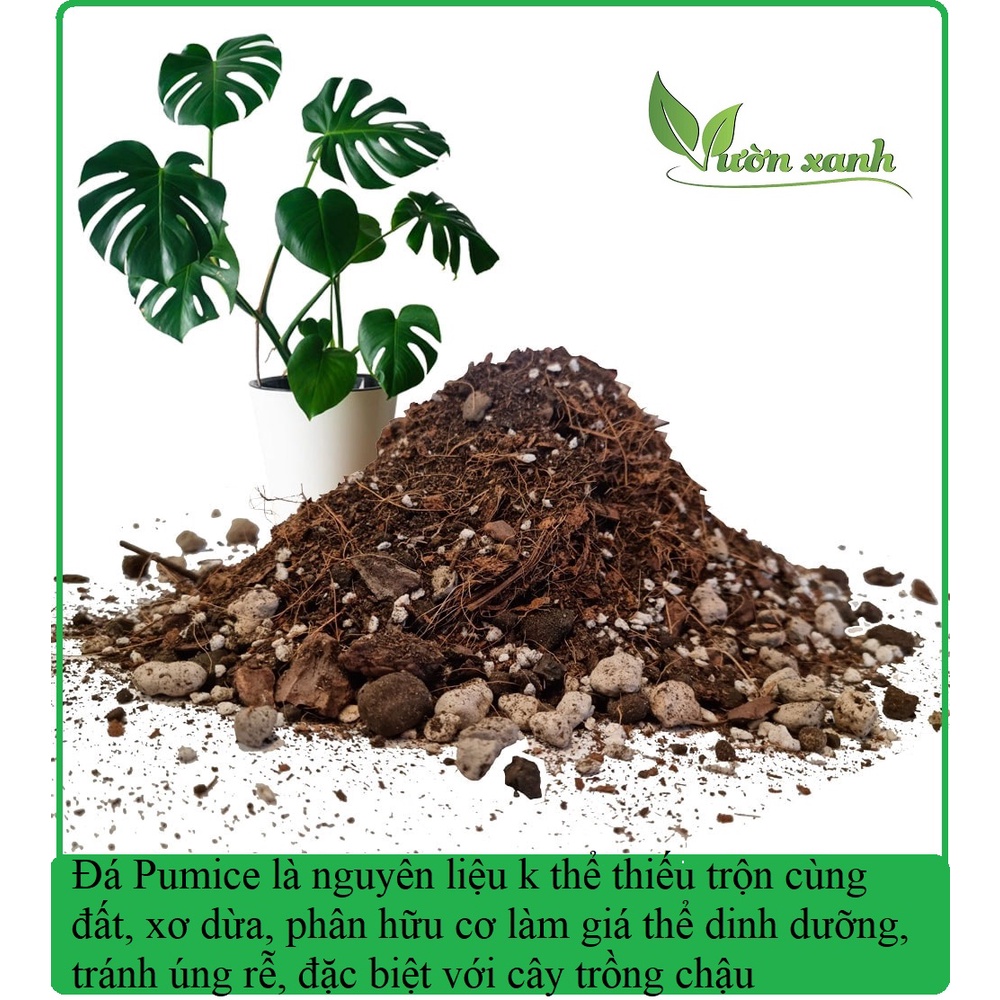 Đá bọt Pumice (Đá núi lửa) nhẹ, thoáng, giữ ẩm rất tốt 1kg