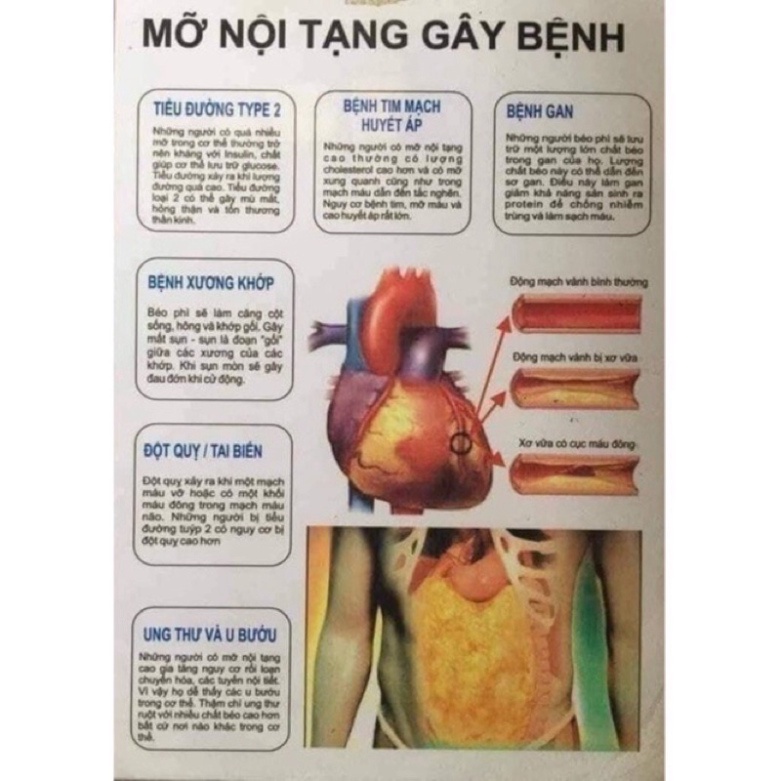 Giá Shock Viên uống thải độc nội tạng, giải độc mỡ nội tạng, toàn thân vitatree organ fat detox 60viên - úc (chính_hãng)