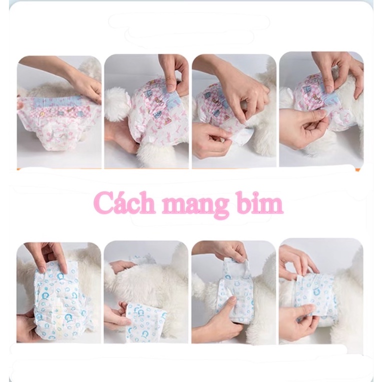 Bỉm Cho Thú Cưng Chó Mèo Thấm Hút Tốt - Xiuxiu Giang