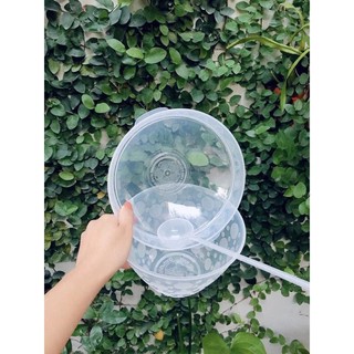Bát đựng rượu ướp lạnh