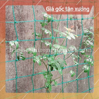 Lưới giàn leo ,lưới giàn cây( size 6x2m mắt 20x20cm sợi to)