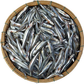 Cá cơm săn túi 1kg