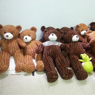 Gấu  bông Teddy 1m vải may