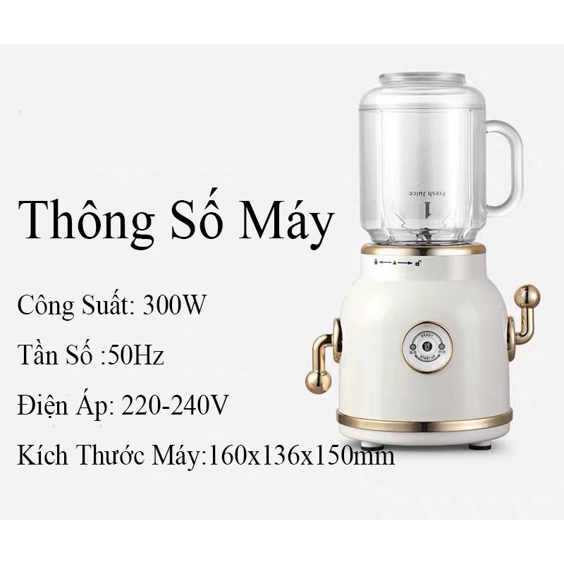 Máy Xay Sinh Tố , Máy Xay Hoa Quả,Rau Củ Quả Đa Năng Nhỏ Gọn Phong Cách Cổ Điển ,Sang Trọng ,Công Suất 300W EMPOLE Đ1